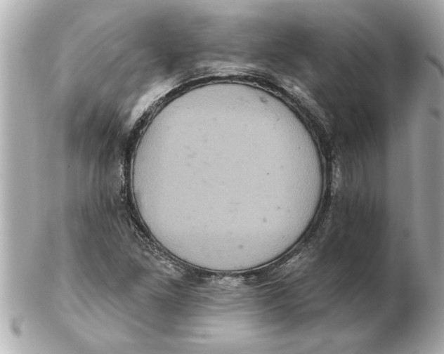 X0000102541261200808291834