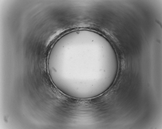 X0000102541262200808291834