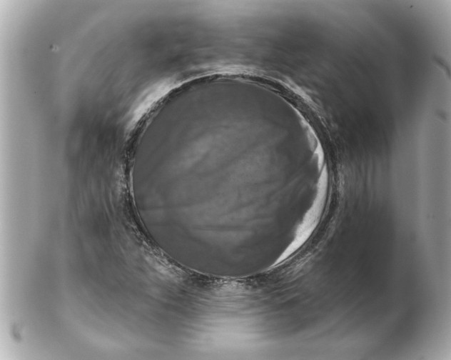 X0000102541263200808291834