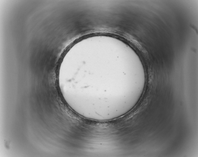 X0000102541264200808291834