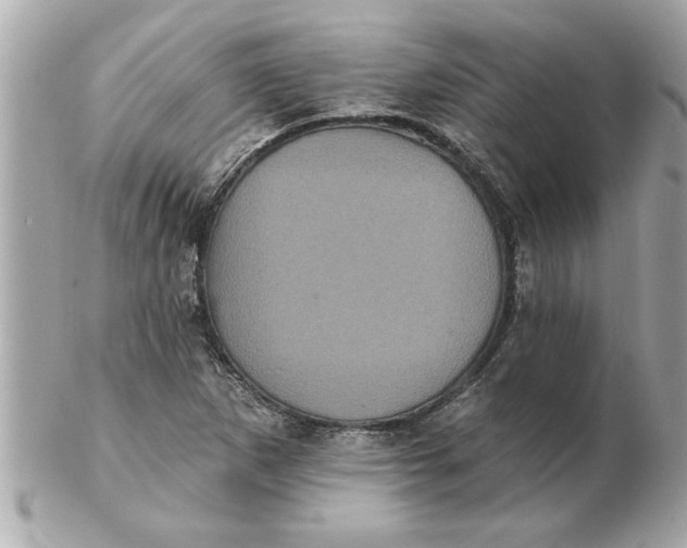 X0000102541265200808291834