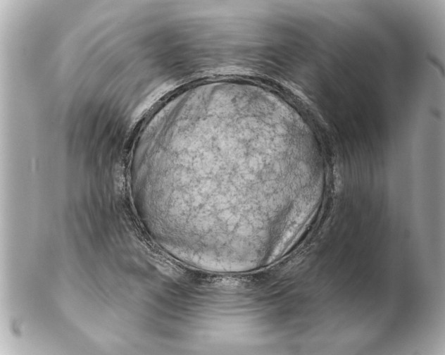 X0000102541266200808291834