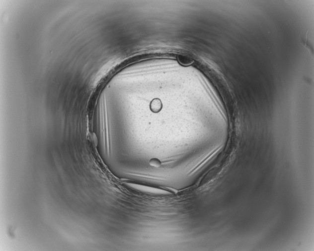 X0000102541267200808291834