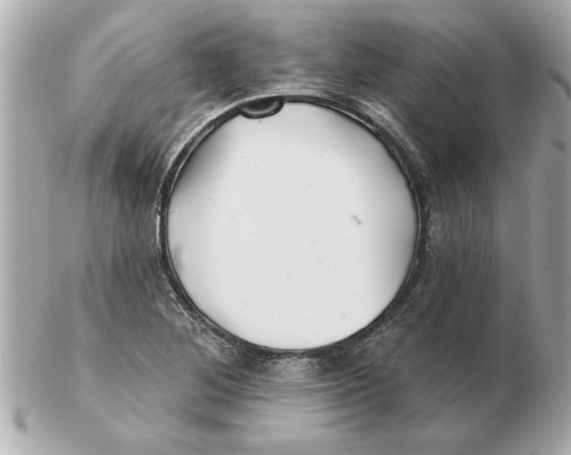 X0000102541268200808291834