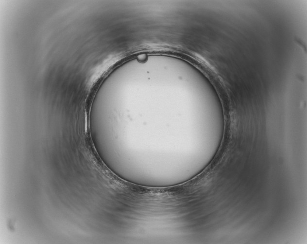 X0000102541269200808291834