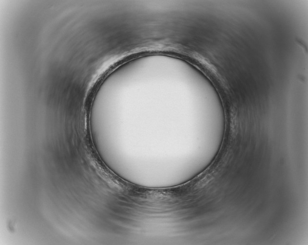 X0000102541270200808291834