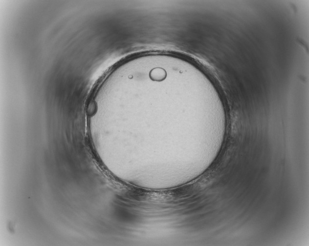 X0000102541271200808291834