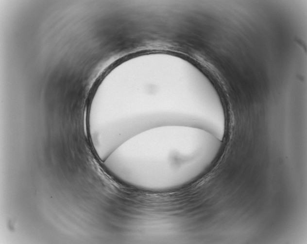 X0000102541272200808291834