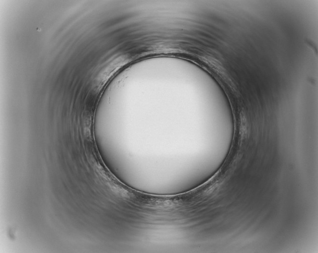 X0000102541273200808291834