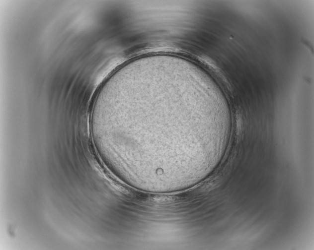 X0000102541274200808291834