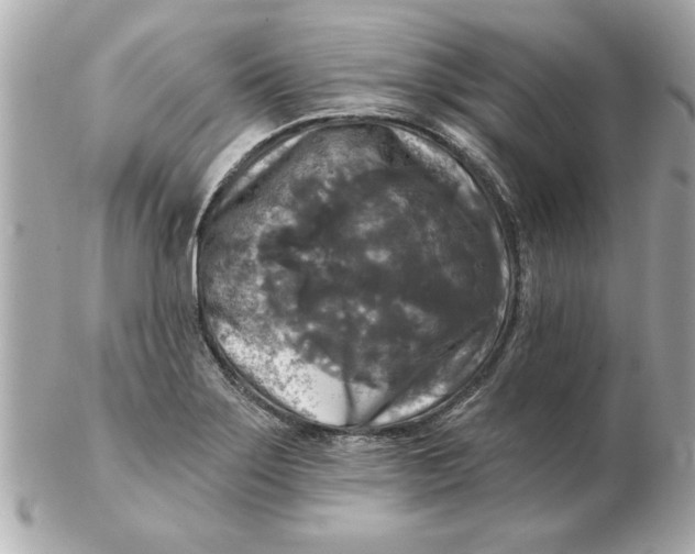 X0000102541275200808291834