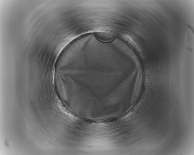 X0000102541276200808291834