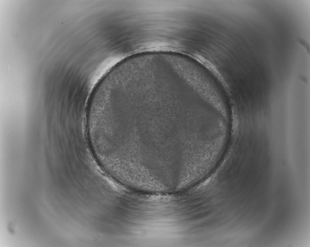 X0000102541277200808291834