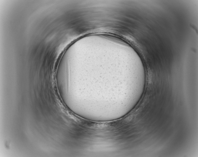 X0000102541278200808291834