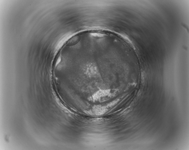 X0000102541279200808291834