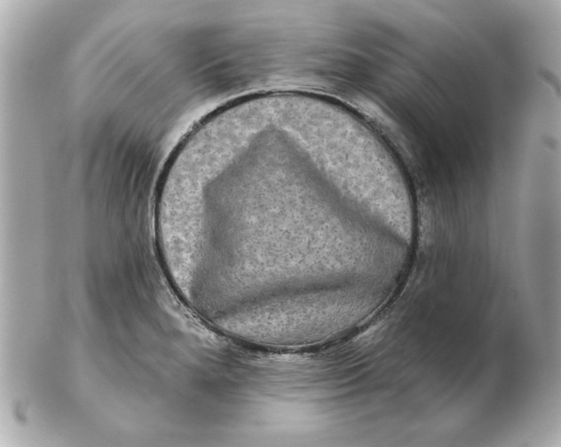 X0000102541280200808291834