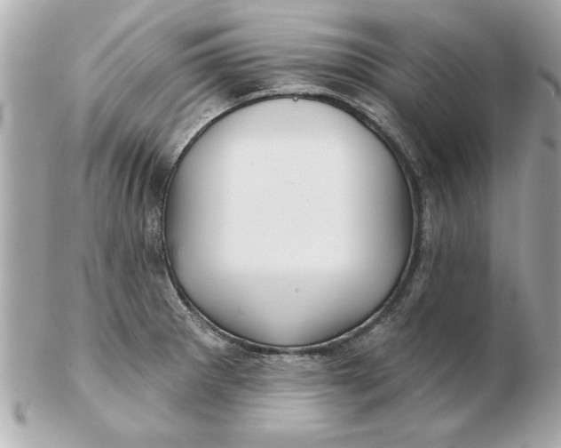 X0000102541281200808291834