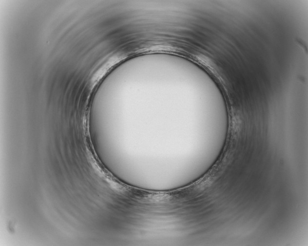 X0000102541282200808291834