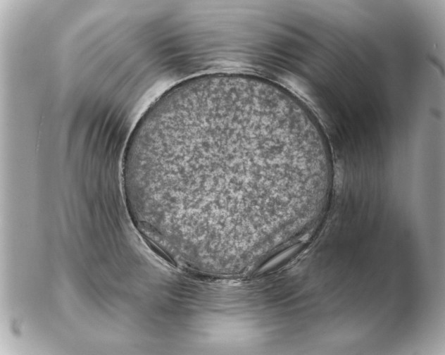 X0000102541283200808291834