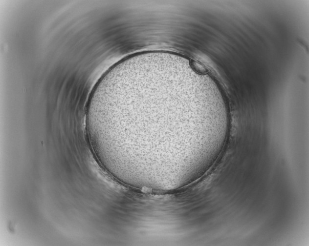 X0000102541284200808291834