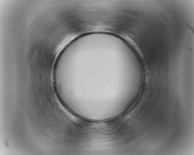 X0000102541285200808291834