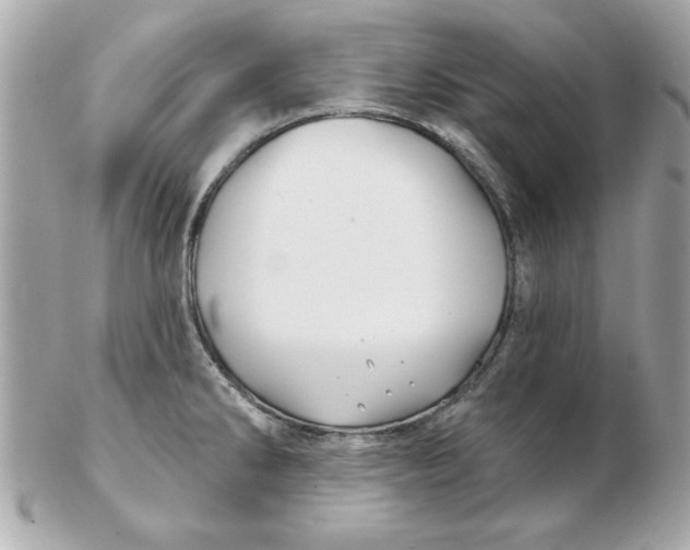 X0000102541286200808291834