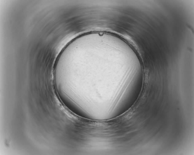 X0000102541287200808291834