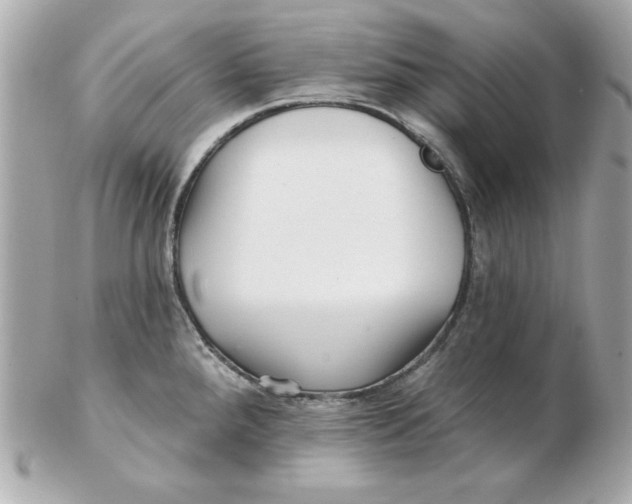 X0000102541288200808291834