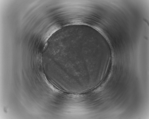 X0000102541289200808291834