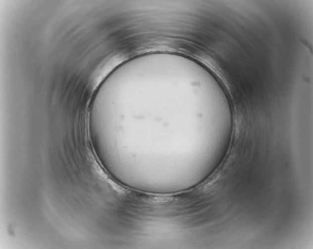 X0000102541290200808291834