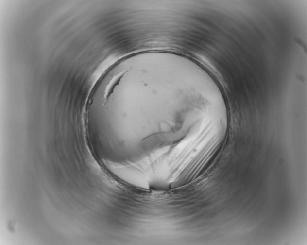 X0000102541291200808291834