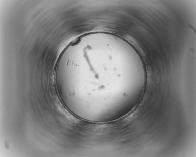 X0000102541292200808291834