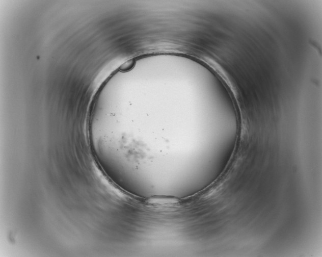 X0000102541293200808291834