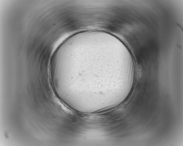 X0000102541294200808291834