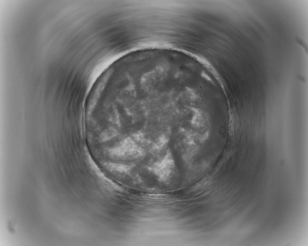 X0000102541295200808291834