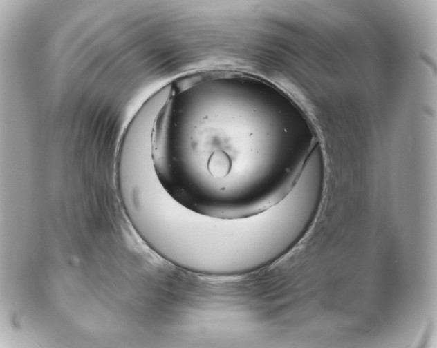 X0000102541296200808291834