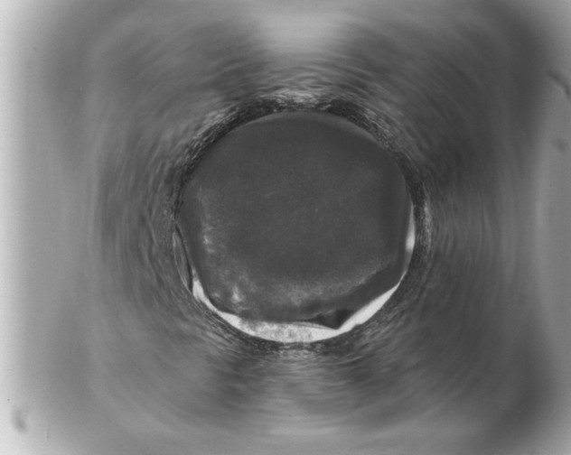 X0000102541297200808291833