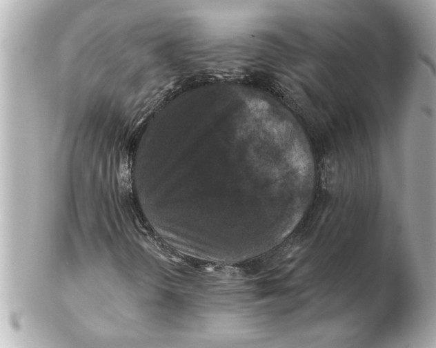 X0000102541298200808291833