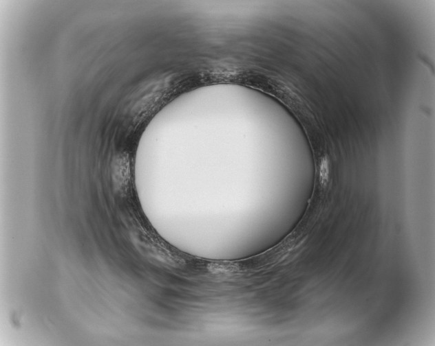 X0000102541299200808291833