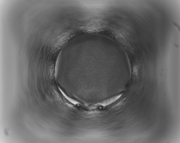 X0000102541300200808291833