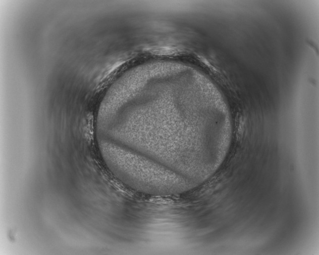 X0000102541301200808291833