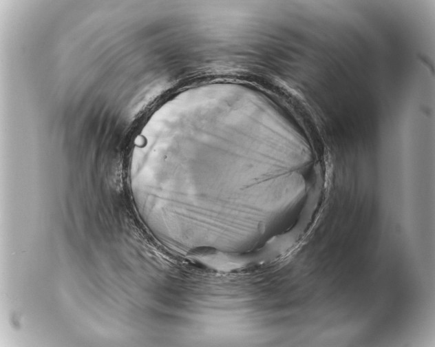 X0000102541306200808291833