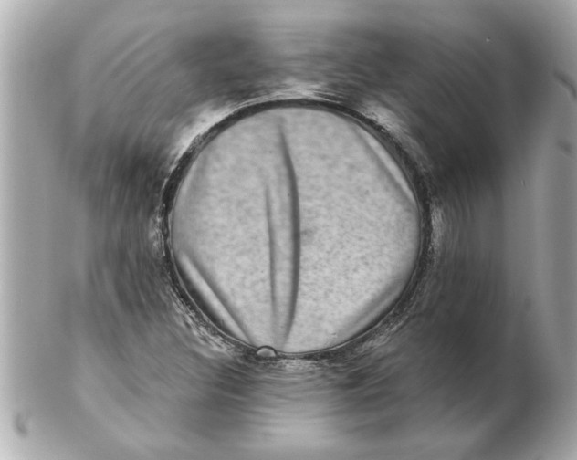 X0000102541308200808291833