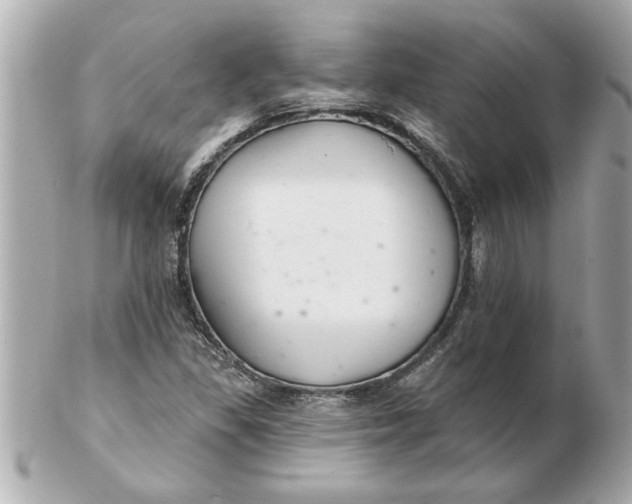 X0000102541309200808291833