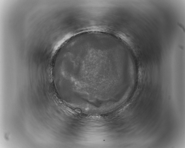 X0000102541310200808291833