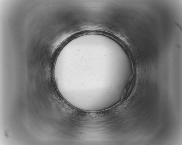 X0000102541311200808291833