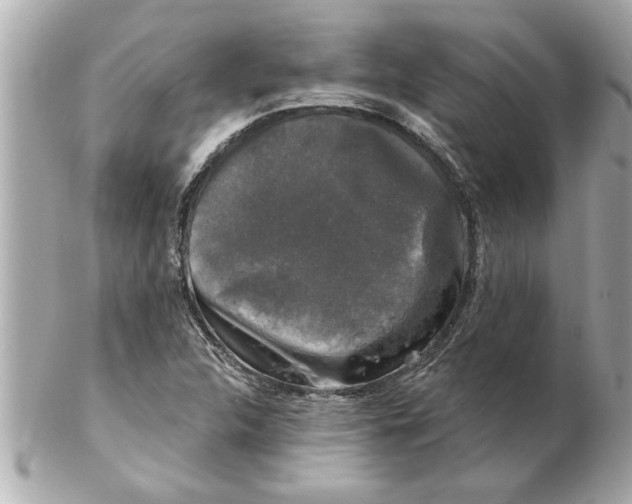 X0000102541312200808291833