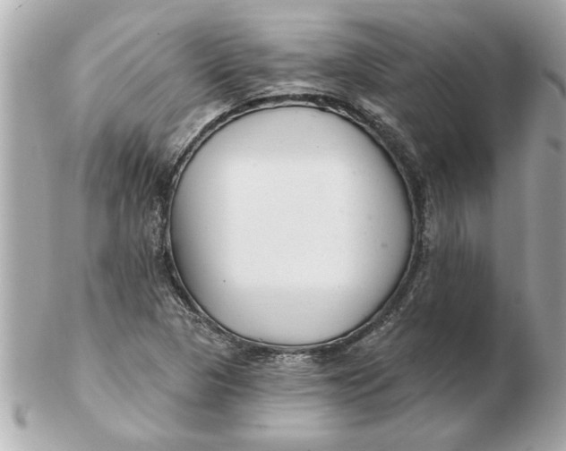 X0000102541313200808291833