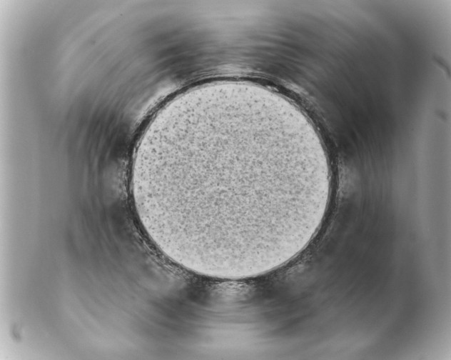 X0000102541314200808291833