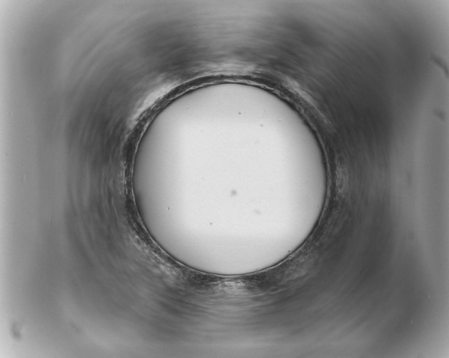 X0000102541315200808291833